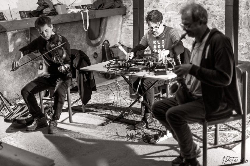Tetrao Tetrix at Klub Štala, Ajdovščina (photo by Igor Petaros)