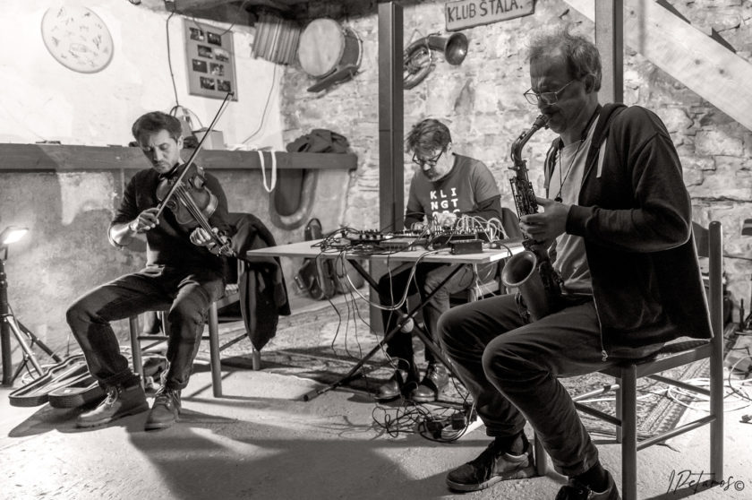 Tetrao Tetrix at Klub Štala, Ajdovščina (photo by Igor Petaros)
